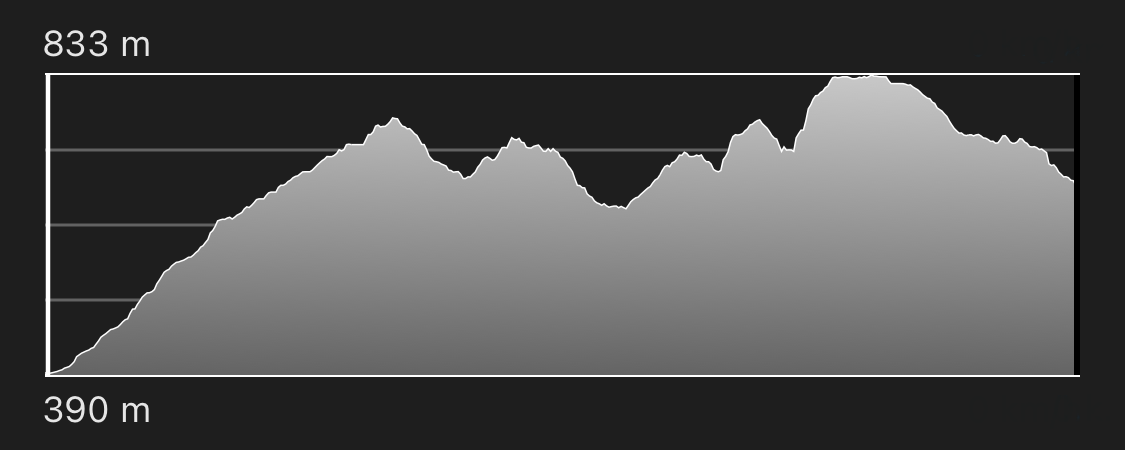 altimetria