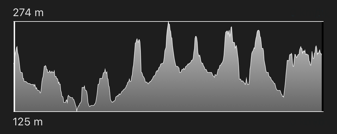 altimetria