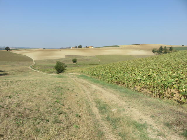 lo sterrato da Tonco a cascina S. Martino