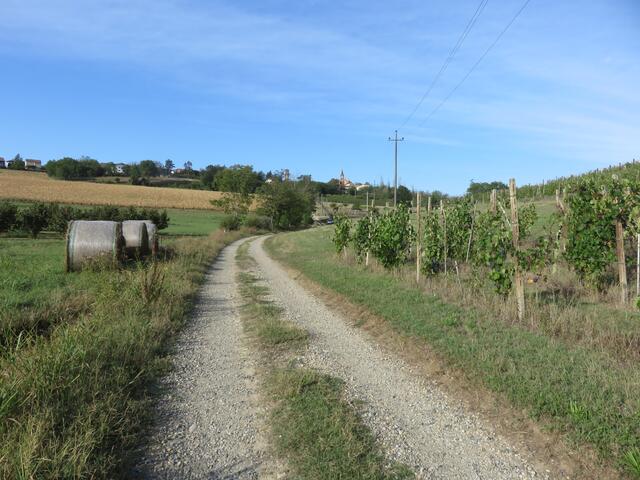 sterrato per Villa (Isola d'Asti)