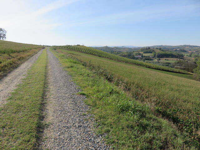 la distesa di colline astigiane