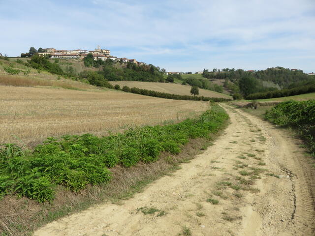 strada lungo la valle del rio Valdico