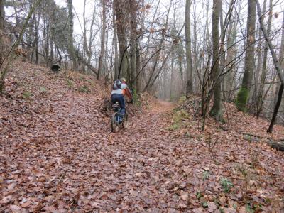 il single track nel bosco che porta a Neive