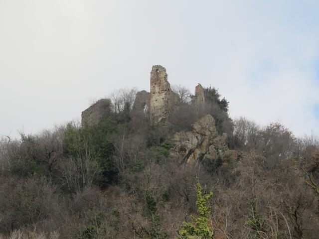 ruderi Castellaccio o Gran Merlone