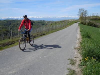 verso Belvedere Langhe